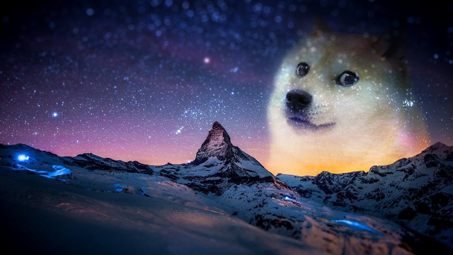 doge sky.jpg