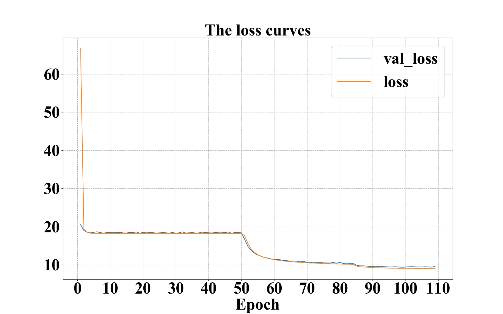 loss_curves.png