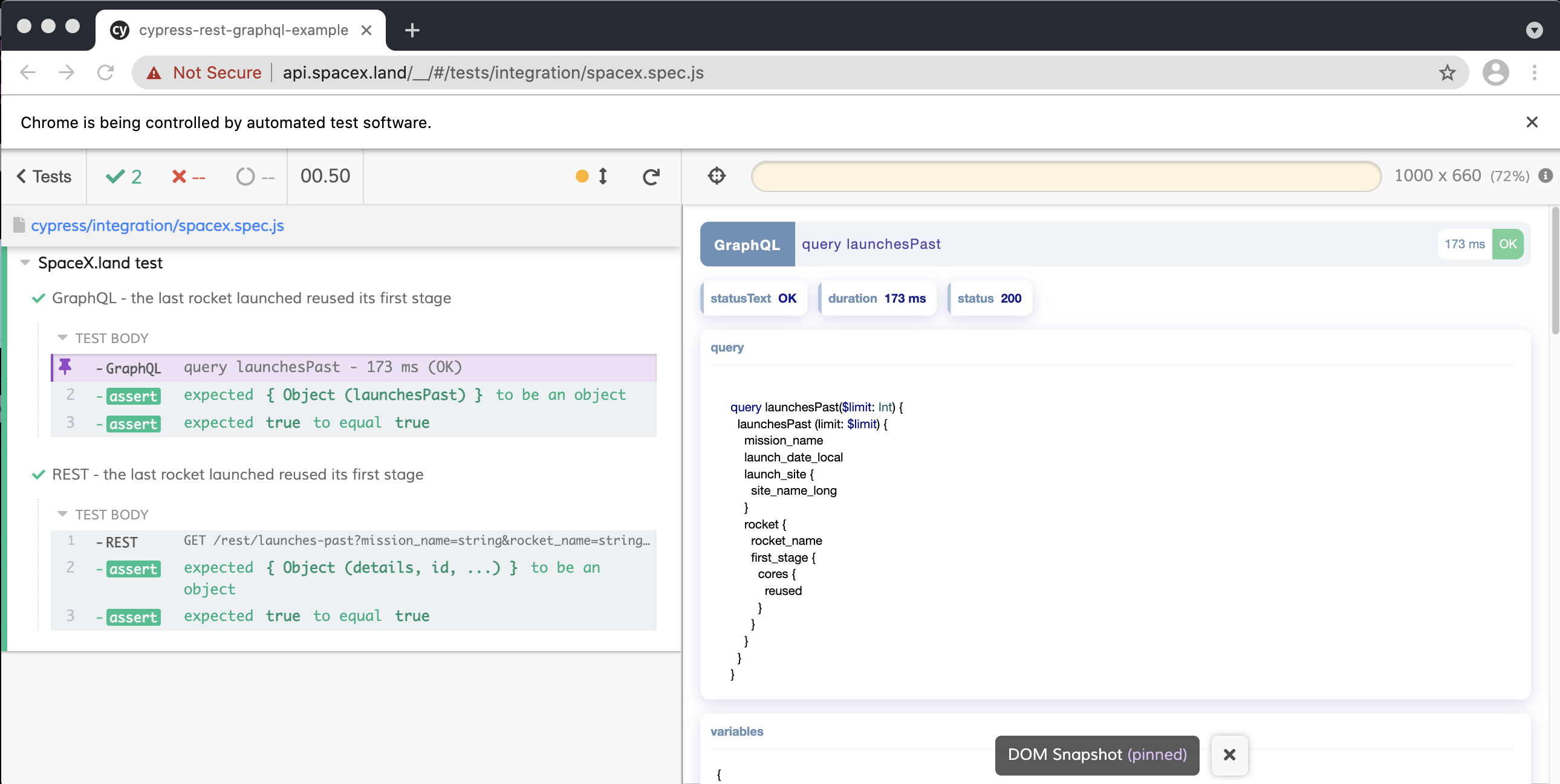 cypress-rest-graphql-screenshot.png