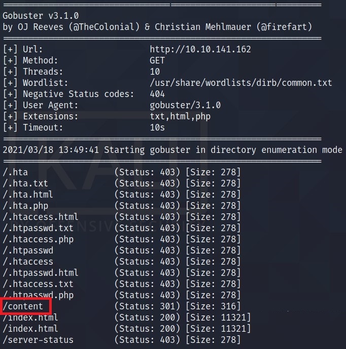 gobuster.jpg