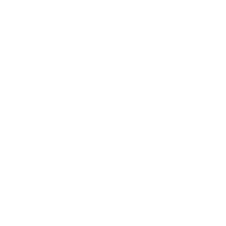 Apple-256.png