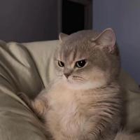 aby913