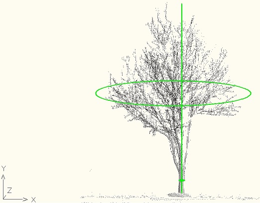 Tree 1, view A