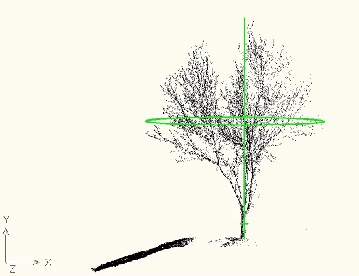 Tree 1, view C