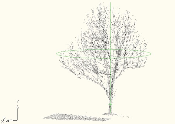Tree 3, view A
