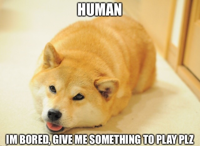 human-dog.jpg