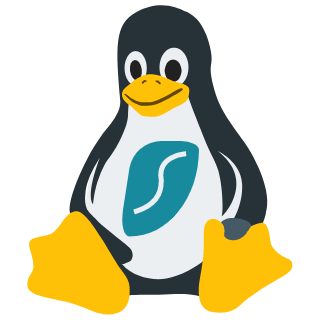 surfshark_linux_client.png