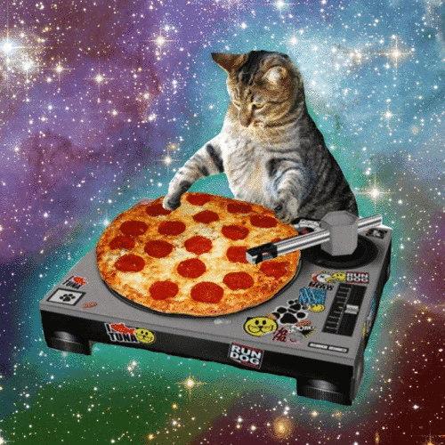 pizza-cat.gif