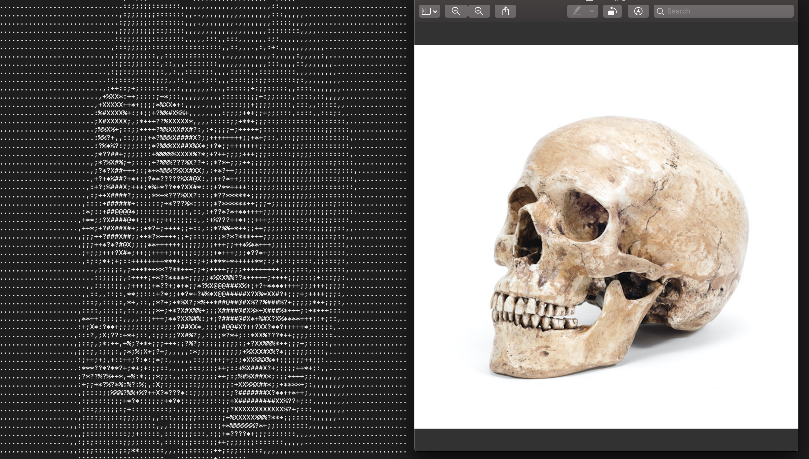ascii_skull.jpg