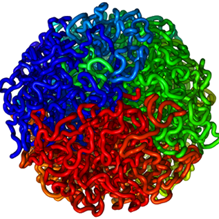 aidenlab