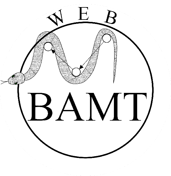 web_bamt_logo.png