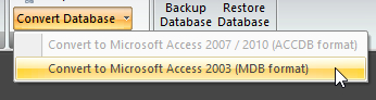 Convert Database Options