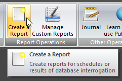 Create a Report