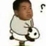 alan22333