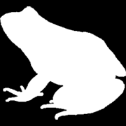 frog-mask.png