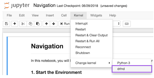 jupyter_kernel.png