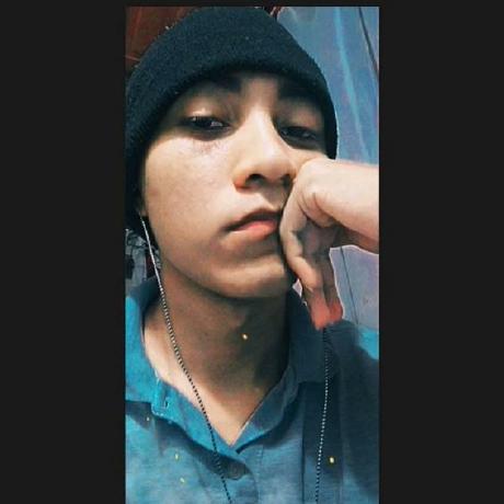 alez2312p