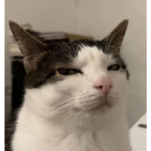 mcp-excel GitHub avatar