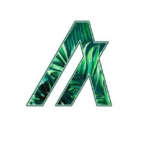 algorandfoundation