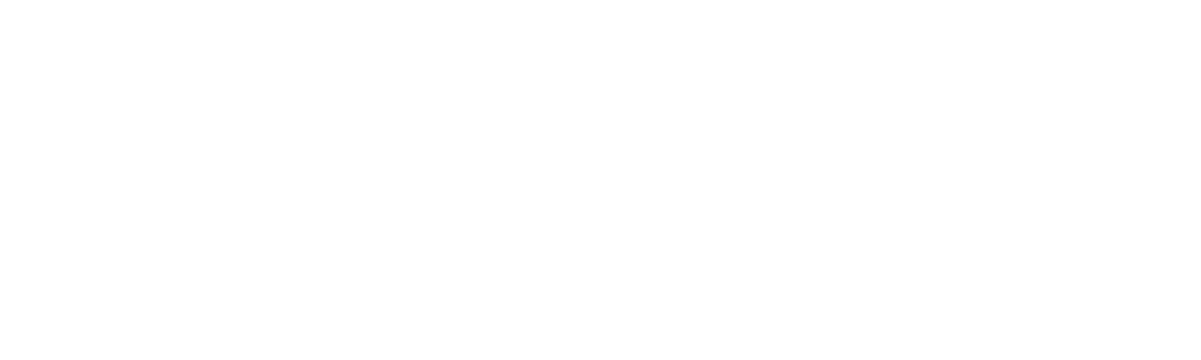 Performance_Media_vector_v1_white.png