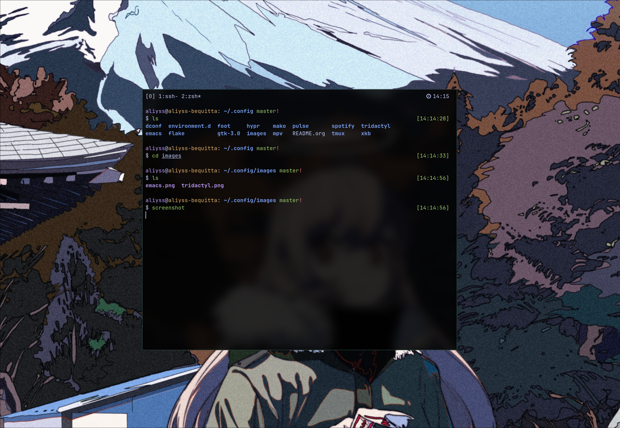 zsh.png