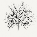 alone-tree profile avatar