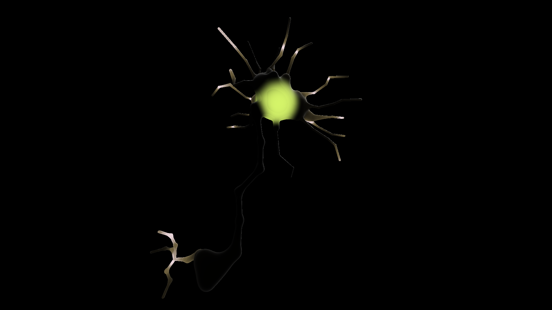 3D Neuron