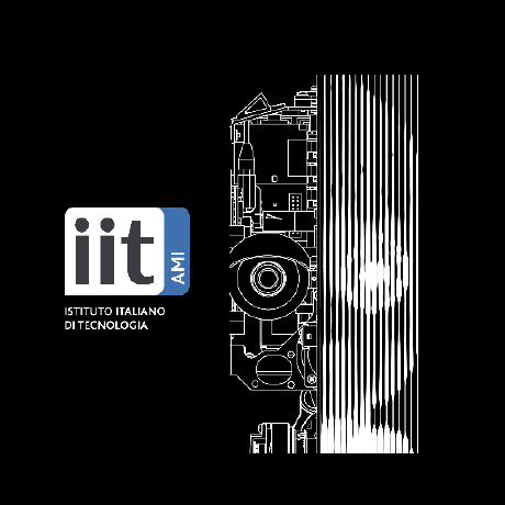 ami-iit