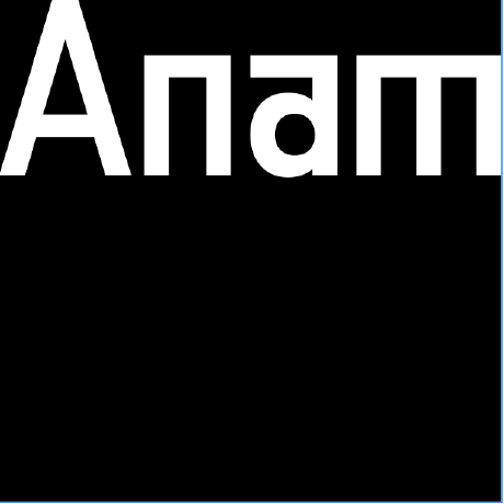anam-org