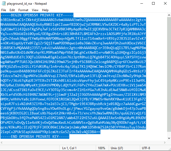 ssh-private-key-notepad.png