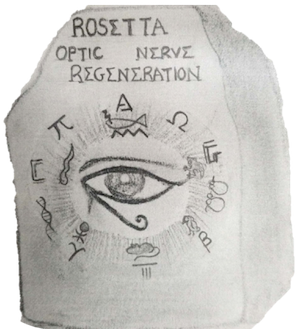 rosetta.png