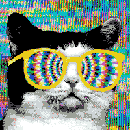 androolloyd