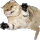 antoniotf5
