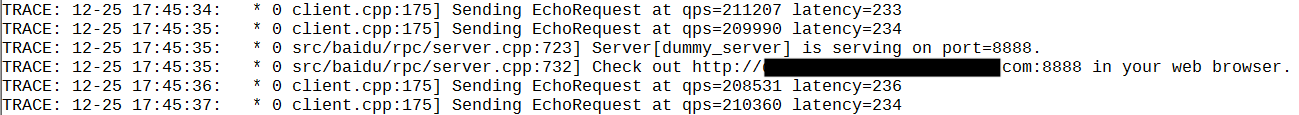 dummy_server_2.png