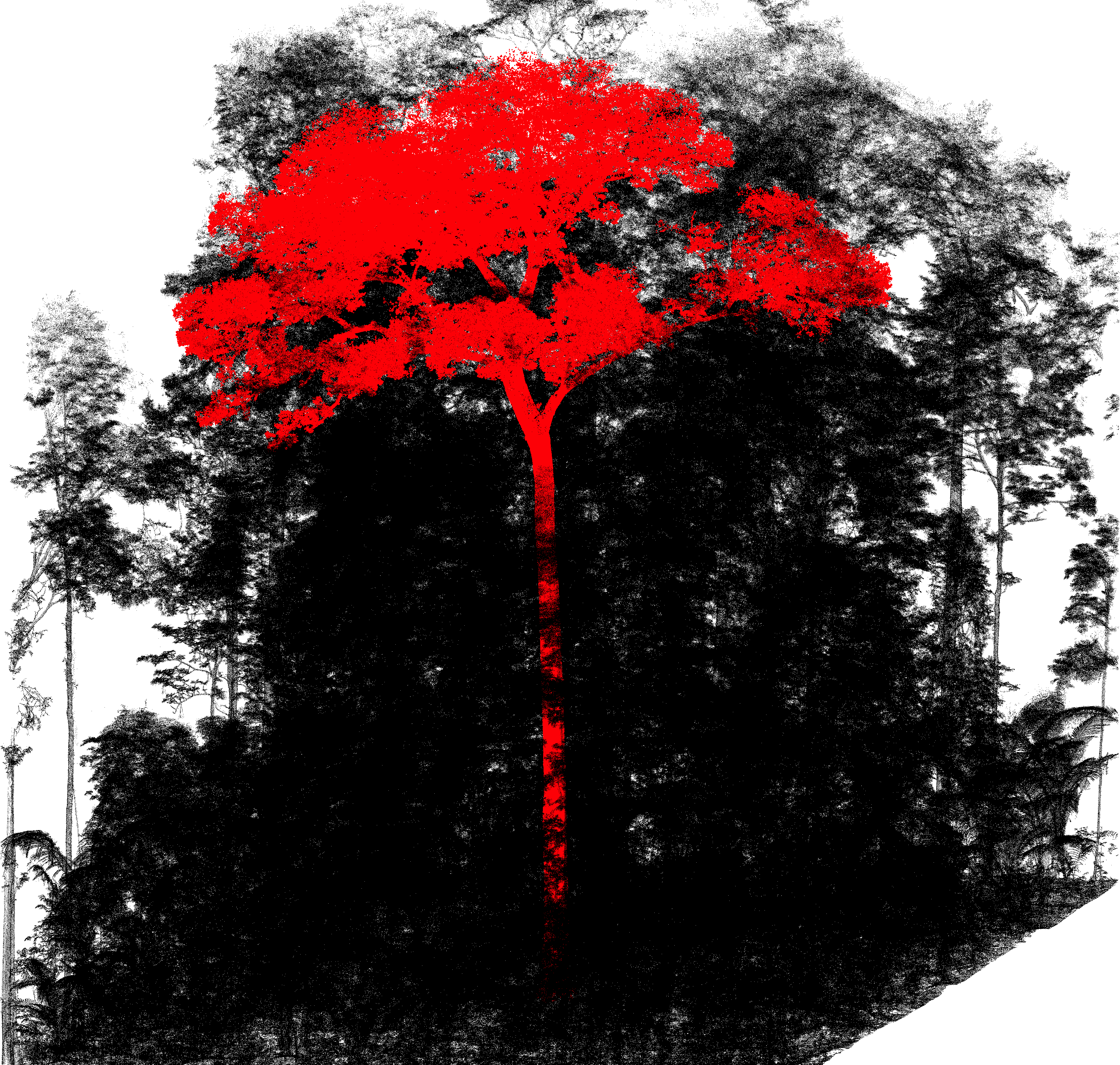 treeseg_cover.png