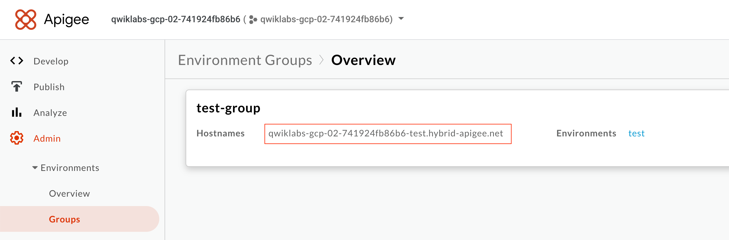 Env Group hostname