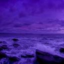 aquace