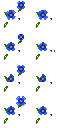daisy_blue.png