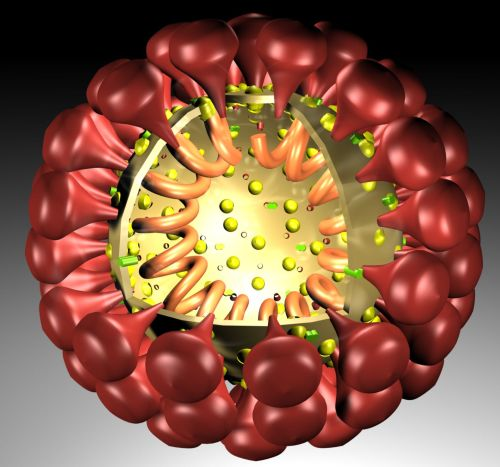 coronavirus-2.png