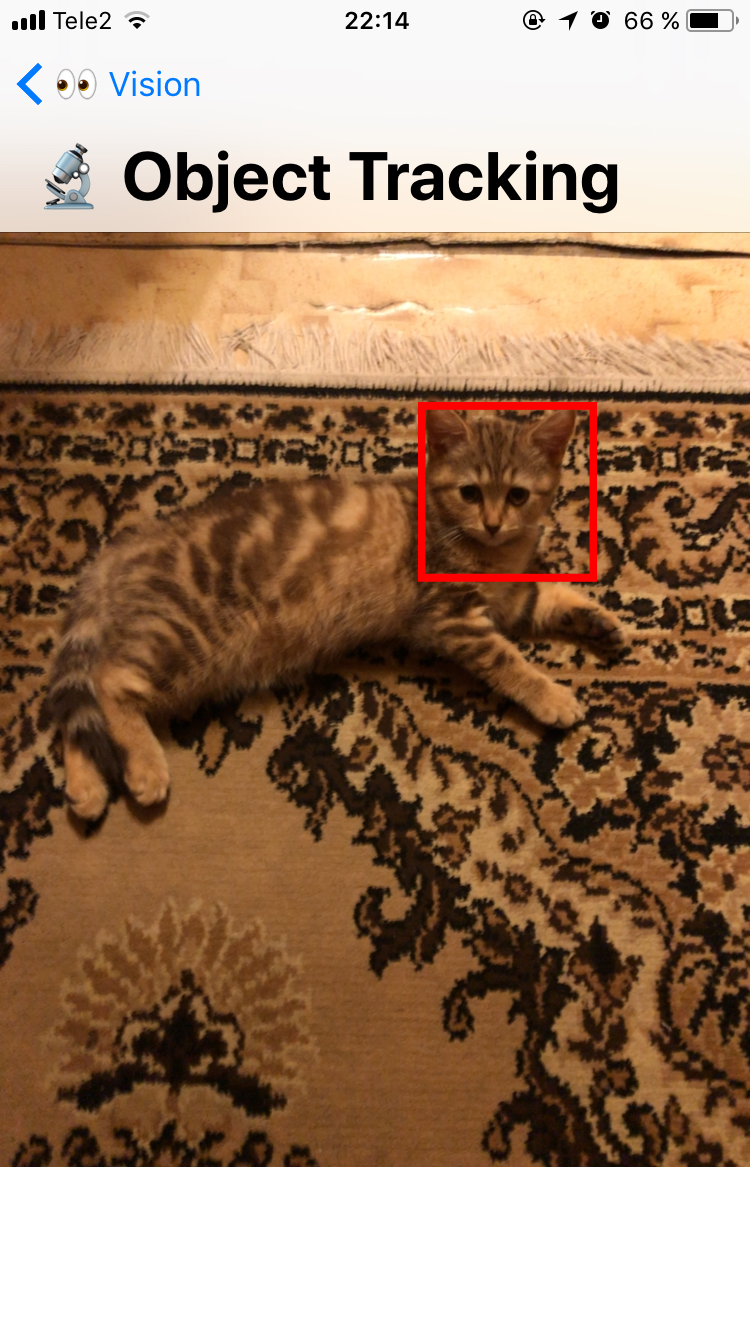 vision-object-tracking-example.jpeg