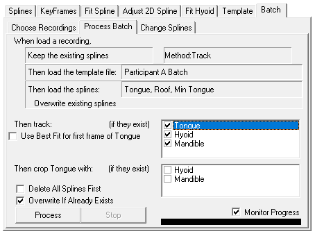 Image showing the Process Batch sub-tab with only Tongue selected for tracking