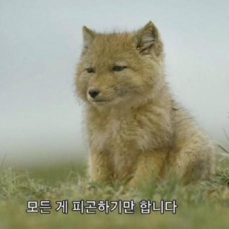 aryeon0228