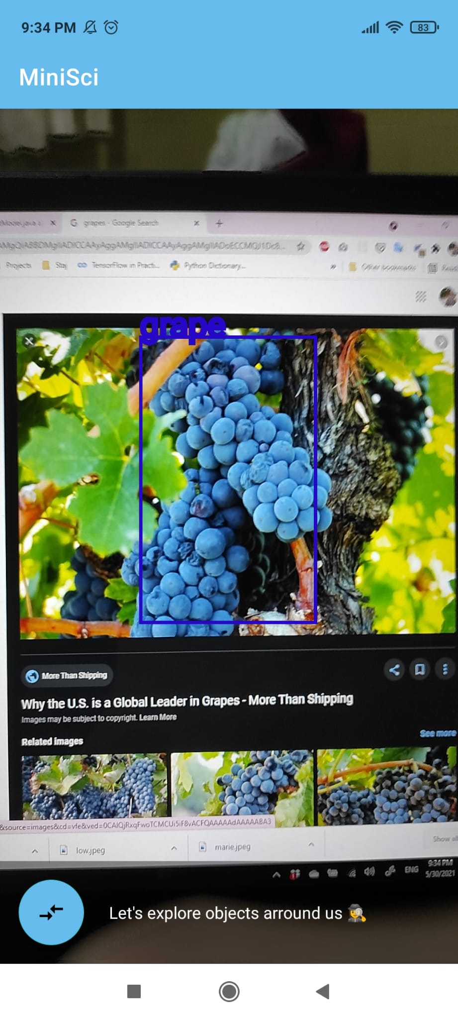 grapes.jpeg