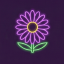 aster avatar