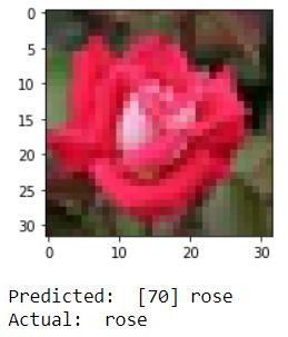 rose_result.JPG