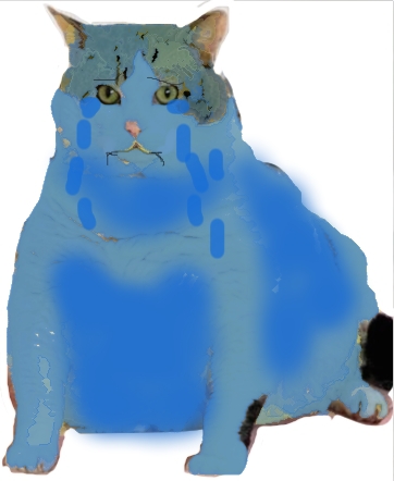 blueSadCat.jpg