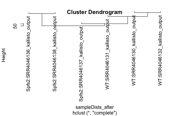 dendogram.png