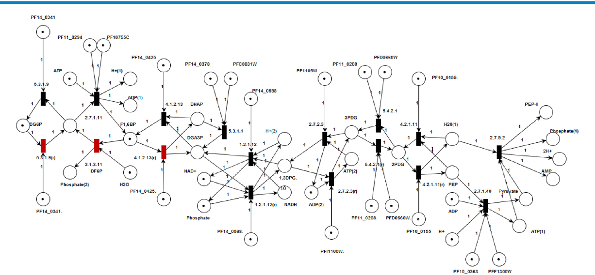 malaria-glycolysis.png