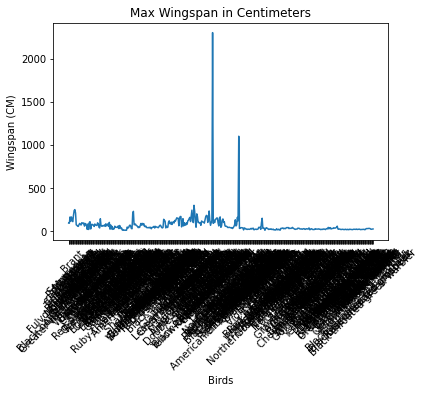 max-wingspan-labels-02.png