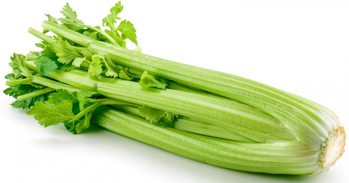 celery.jpg